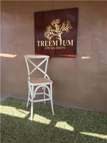 כיסא בר ייחודי מבית Treemium - חלומות בעץ מלא
