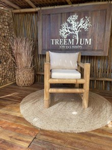 כורסא במבוק מבית Treemium - חלומות בעץ מלא