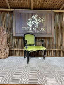 כורסא דגם 6000 מבית Treemium - חלומות בעץ מלא