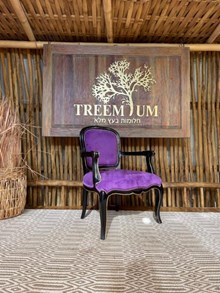 כורסא דגם 6001 - Treemium - חלומות בעץ מלא