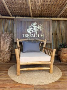 כורסא טיק צעיר מבית Treemium - חלומות בעץ מלא