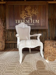 כורסא עץ מלא מהגוני מבית Treemium - חלומות בעץ מלא