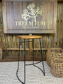 כיסא בר עץ טיק מבית Treemium - חלומות בעץ מלא