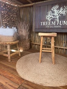 כיסא בר עץ טיק - Treemium - חלומות בעץ מלא