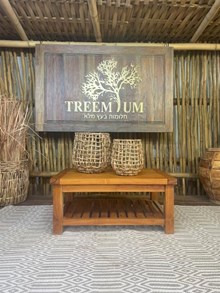 שולחן סלון עץ מלא טיק - Treemium - חלומות בעץ מלא