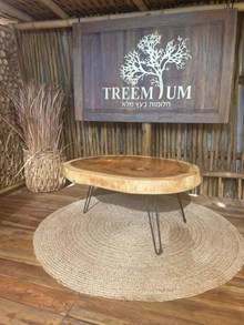 שולחן סלוני גזע פרוס מבית Treemium - חלומות בעץ מלא