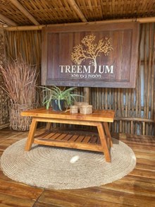 שולחן סלוני עץ מלא טיק - Treemium - חלומות בעץ מלא