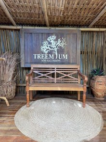 ספסל עץ טיק רגל מעוגלת - Treemium - חלומות בעץ מלא