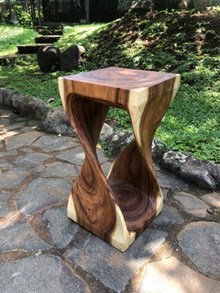 מעמד גזע ייחודי