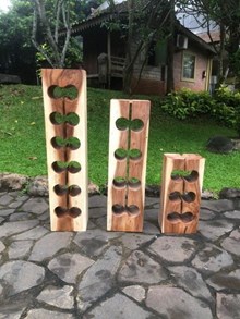 מעמד יין גזע