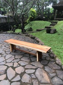 ספסל מעץ גזע פרוס