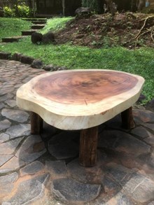 שולחן סלון פרוסת גזע ללא חיבורים רגל עץ