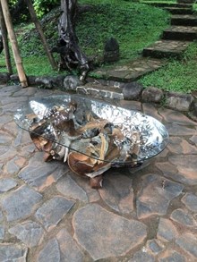 שולחן סלון שורש טיק אובלי דגם A