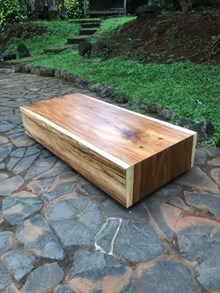 שולחן סלוני גזעים פרוסים